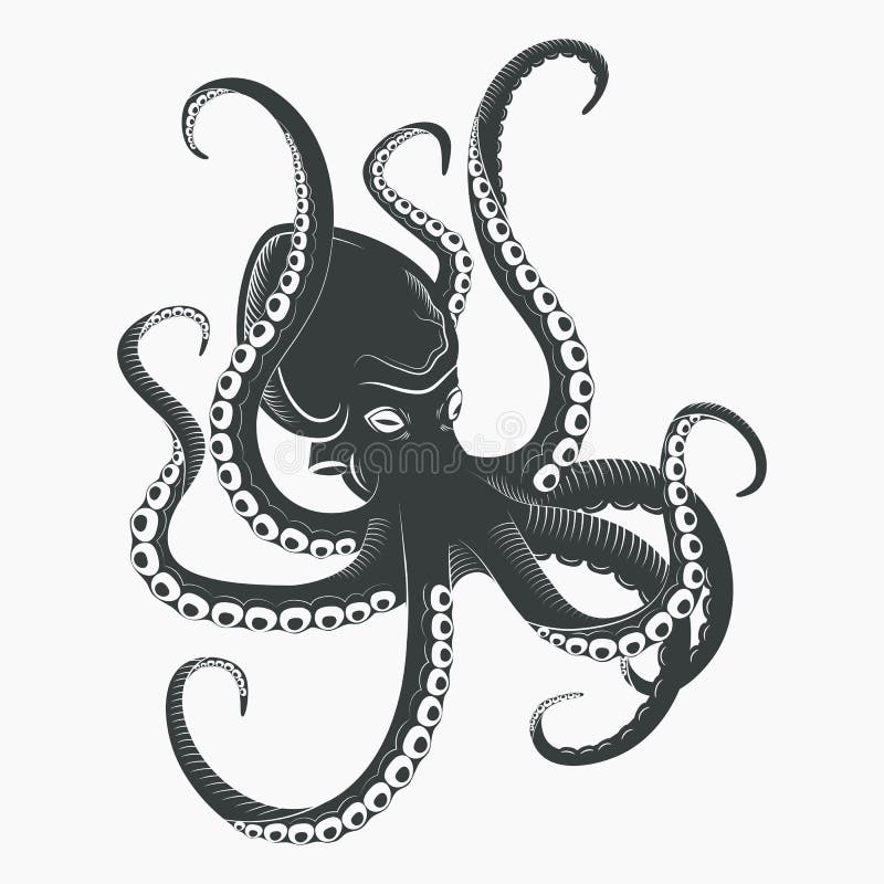 Ocean ośmiornica lub morza octopoda z czułkami royalty ilustracja Ocean ośmiornica lub morza octopoda z czułkami royalty ilustracja
