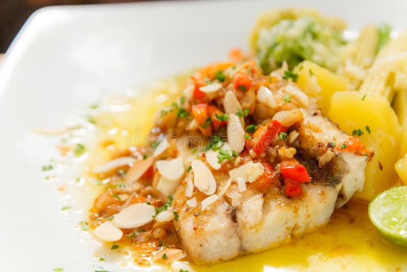 Ocean perch with sauce royalty free stock photos