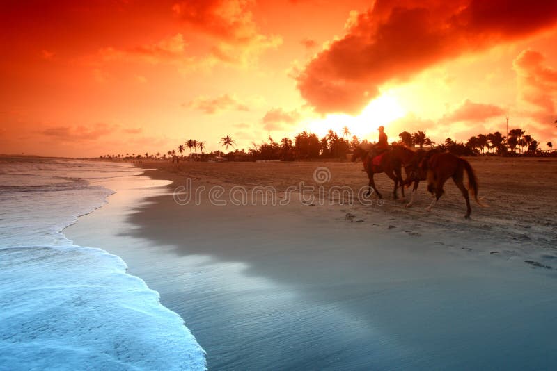 Ocean sunrice stock image