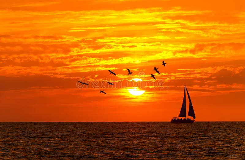 Ocean Sunset Sailboat Birds Stock Image - Image of birds ...