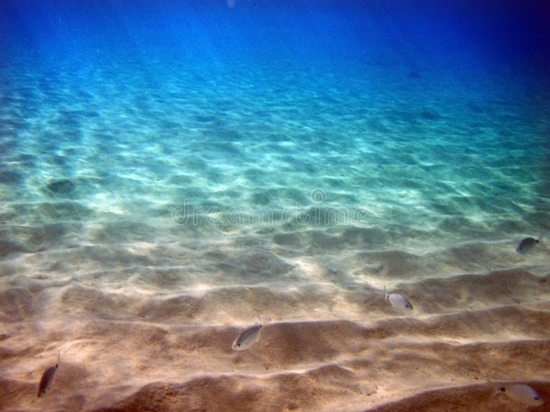 Ocean underwater