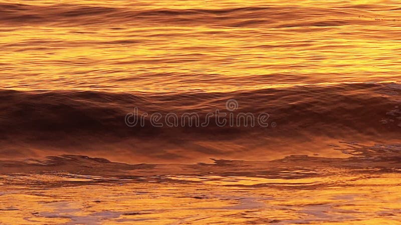 Ocean Wave Breaking on the Beach in Slow Motion