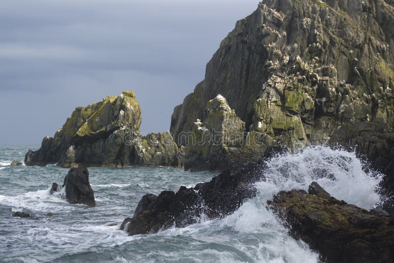 Ocean wave and cliffs