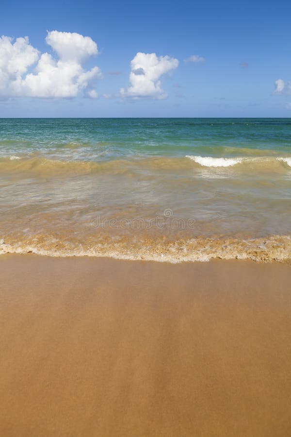 Ocean Waves On Sandy Beach Stock Image Image Of Ocean 82112979