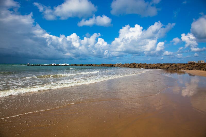 Oceanic coast royalty free stock photo Oceanic coast royalty free stock photo