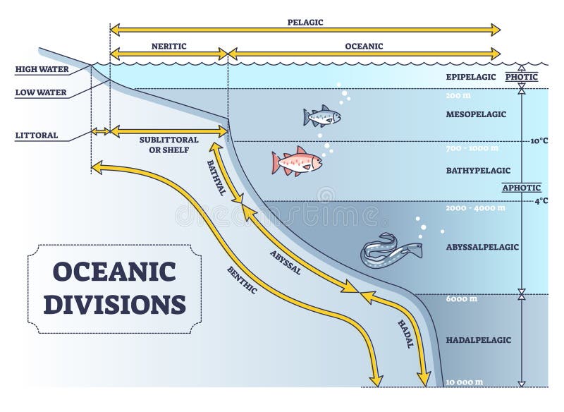 mariana trench diagram