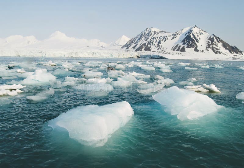 Oceano artico - ghiaccio nel mare