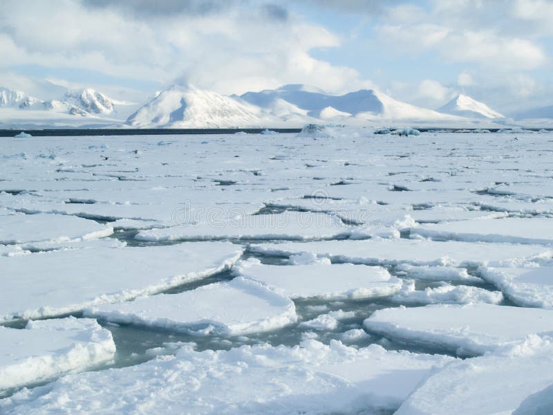 Oceano ártico - gelo de bloco na superfície do mar
