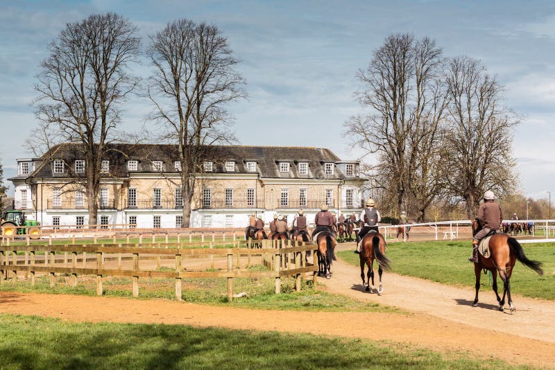 Ochtend die Jockeys & Renpaard opleiden die naar HK-Stal terugkeren stock foto Ochtend die Jockeys & Renpaard opleiden die naar HK-Stal terugkeren stock foto