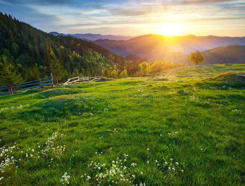 Ochtstlandschap royalty-vrije stock afbeeldingen