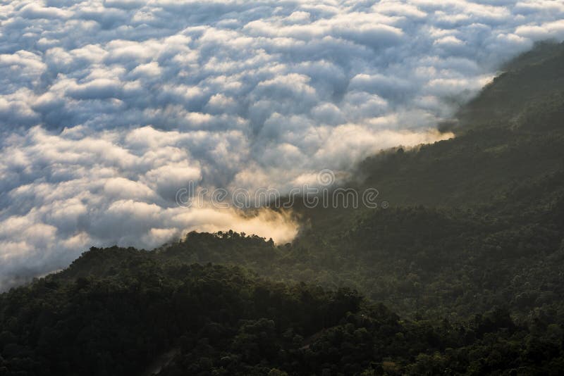 Ochtendzonsopgang met mist op Doi Pha Tang: Chiangrai royalty-vrije stock afbeelding Ochtendzonsopgang met mist op Doi Pha Tang: Chiangrai royalty-vrije stock afbeelding