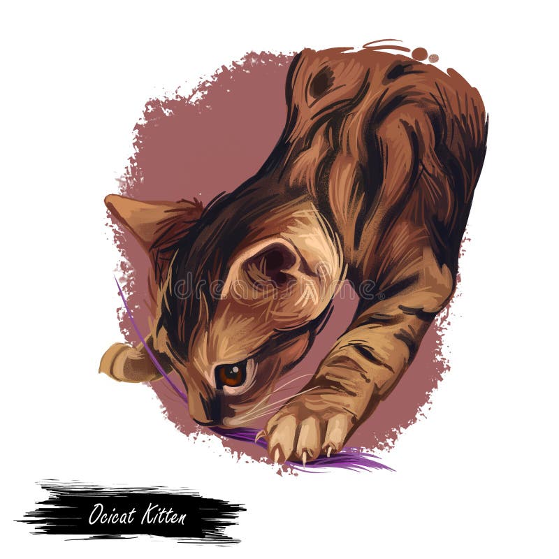 Ocelot Cat Icon by Shila Rani Das on Dribbble