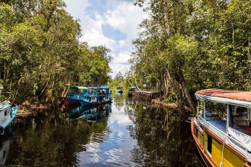 Oct 2017, Tanjung Puting National Park, Kumai, Borneo, Indonesia: Klotok floating on the black water river outside Camp Leakey