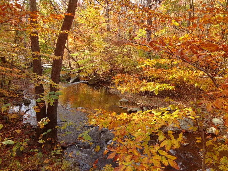 October in Northern Maryland Stock Image Image of landscape, northern