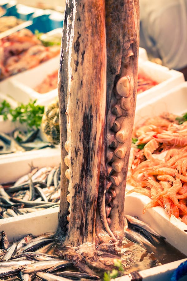 Detail velká chobotnice a mořské plody.