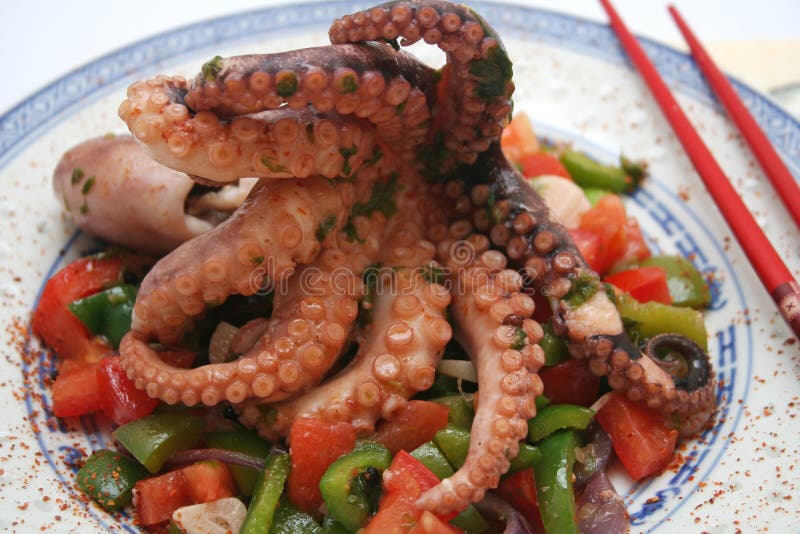 Octopus