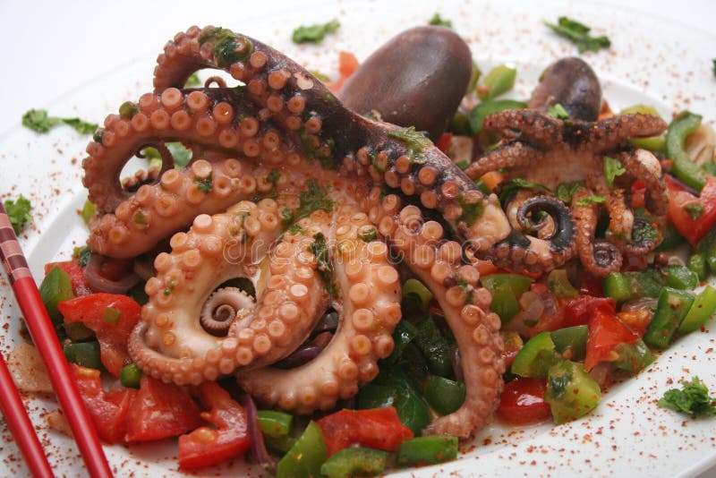 Plate with Grilled Octopus Dish Stock Image Image of food, dish 9558943