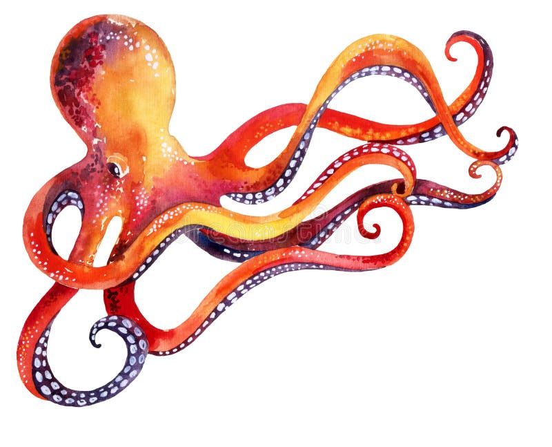 Octopus isolated on white background royalty free illustration