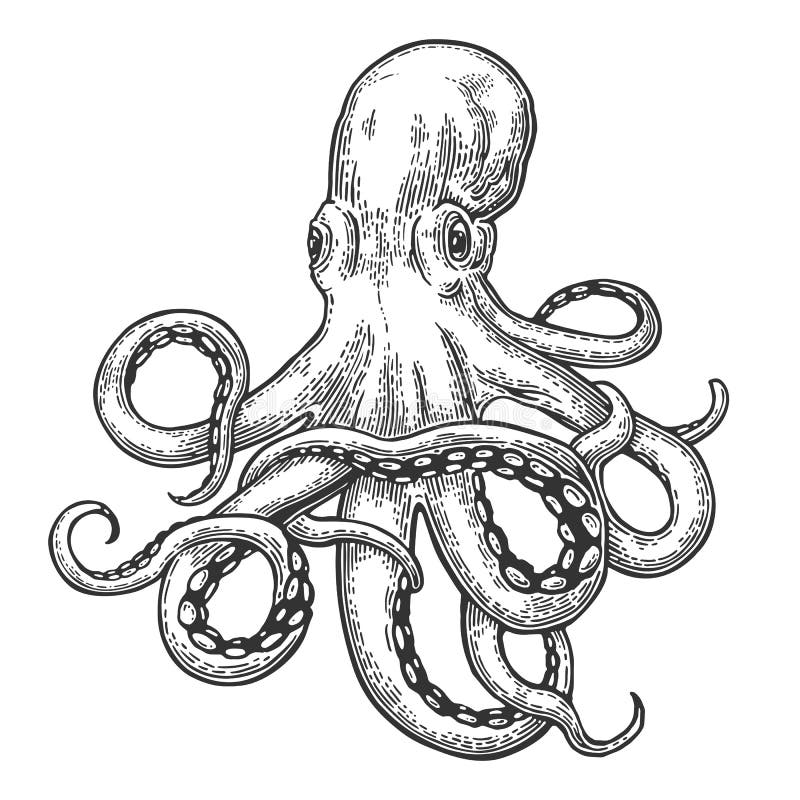 octopus Overzees monster stock illustratie octopus Overzees monster stock illustratie