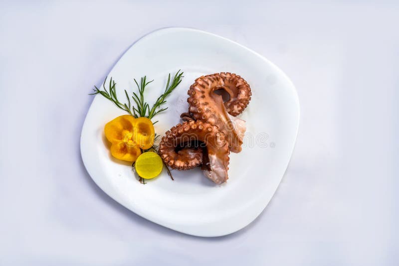Octopus Salad with on Plate Stock Photo Image of fresh, mollusk