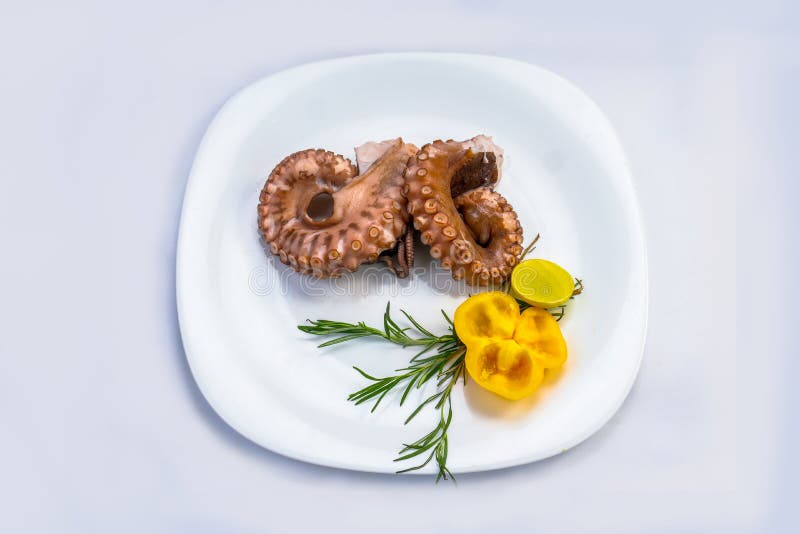 Octopus Salad with on Plate Stock Image Image of meal, lunch 230457493