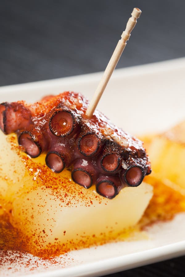 Octopus tapa stock image