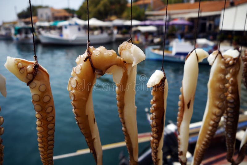 Octopus tentacles hanging to dry in a Greek harbour