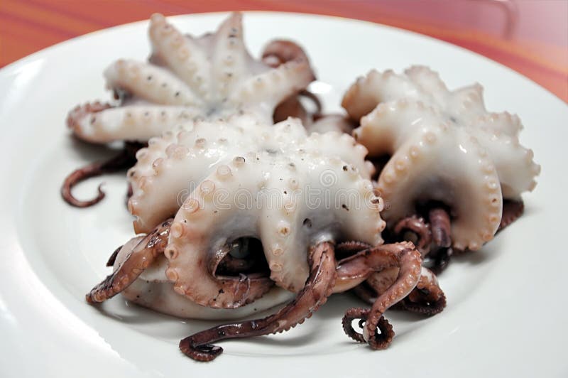 Octopuses on plate. stock photo. Image of fish, background 9219602