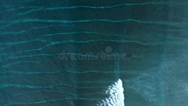 Océan avec vagues et vue aérienne du fond de récif banque de vidéos