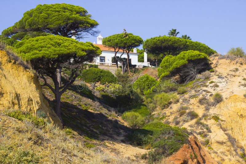 3 October 2018 A secluded part of the Falesia Beach with a small elevated property on The Algarve Portugal  on a hot day showing beautifully mature coniferous junipers and other scrubland. 3 October 2018 A secluded part of the Falesia Beach with a small elevated property on The Algarve Portugal  on a hot day showing beautifully mature coniferous junipers and other scrubland