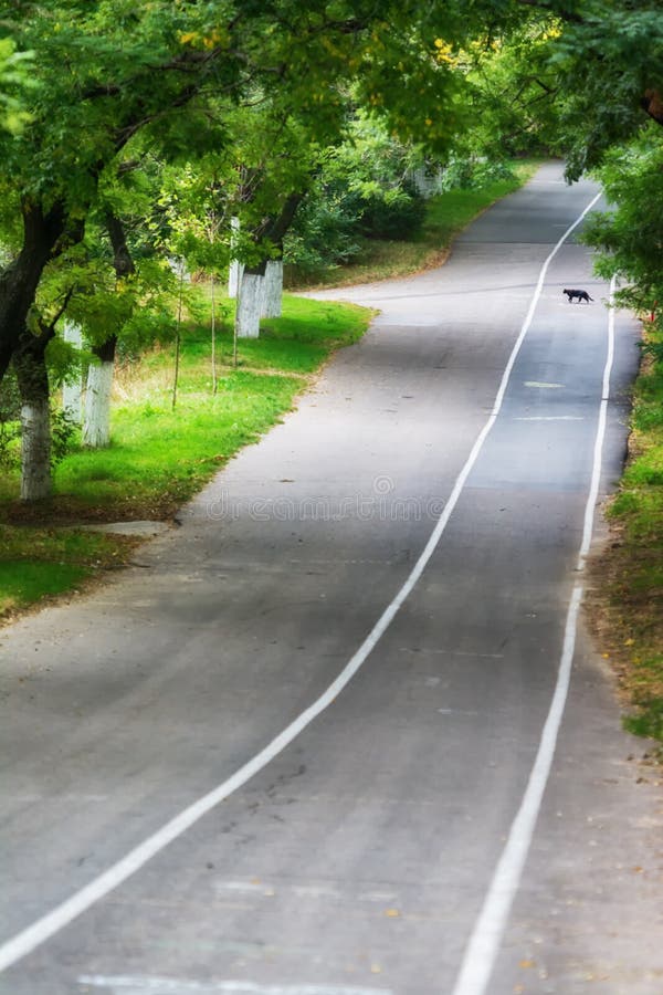 Odessa park in atumn time royalty free stock photo Odessa park in atumn time royalty free stock photo