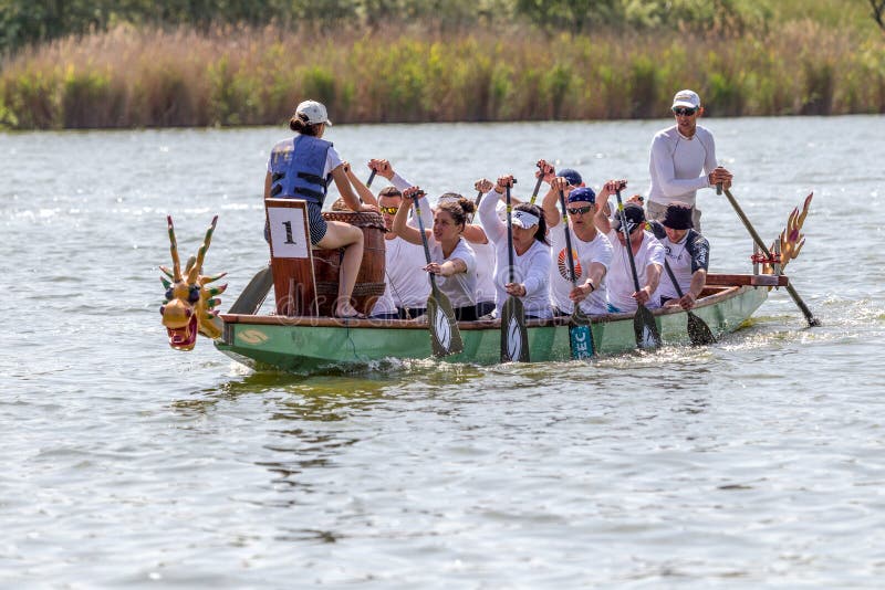 ODESSA, UKRAINE - July 1, 2019: Dragon Boat Festival. Dragon Boat Festival in the river. Dragon boat competitions on the day of