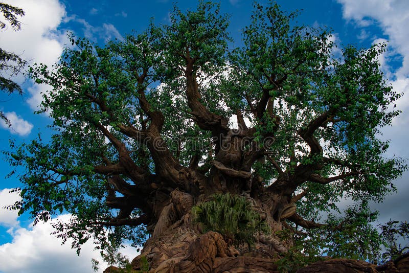 Odgórny widok drzewo życie w Zwierzęcym królestwie przy Walt Disney World terenem 2 zdjęcia stock