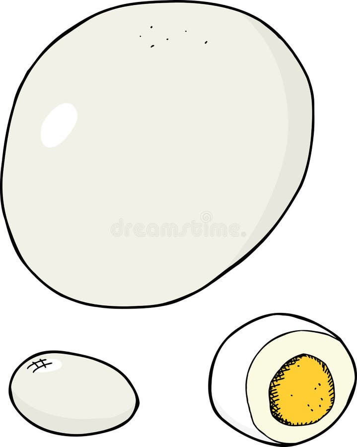 Isolated hard boiled egg with peeled version on white. Isolated hard boiled egg with peeled version on white