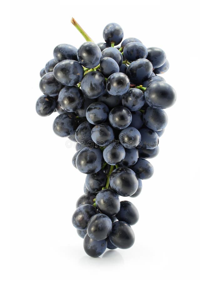 Odizolowywający grona błękitny winogrono