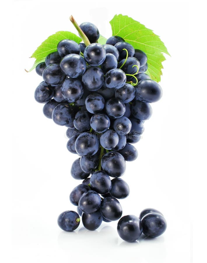 Odizolowywający grona błękitny winogrono