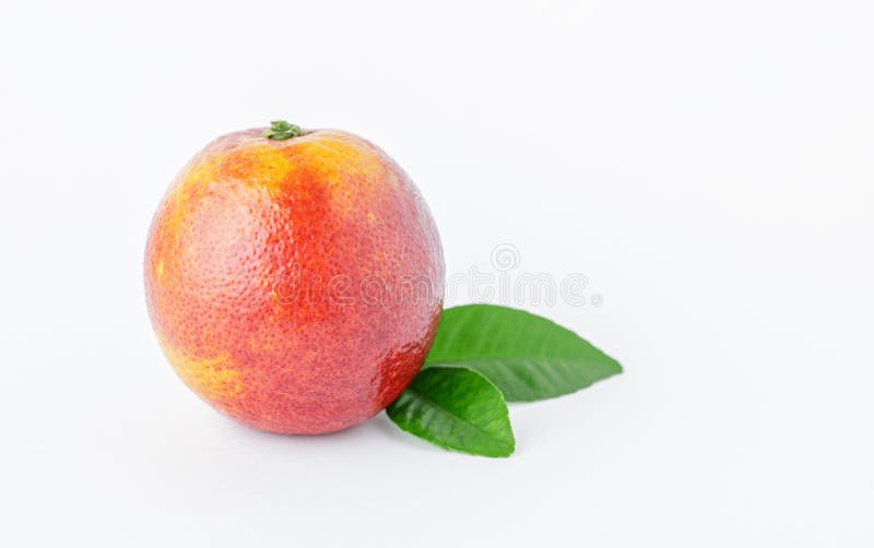 odosobnione pomara?cze ?wie?e dojrza?e czerwone pomara?cze na bia?ym tle Zdrowy pomara?czowy owoc t?o zdjęcia royalty free odosobnione pomara?cze ?wie?e dojrza?e czerwone pomara?cze na bia?ym tle Zdrowy pomara?czowy owoc t?o zdjęcia royalty free