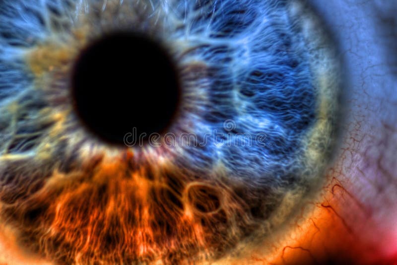 Oeil images libres de droits Oeil images libres de droits
