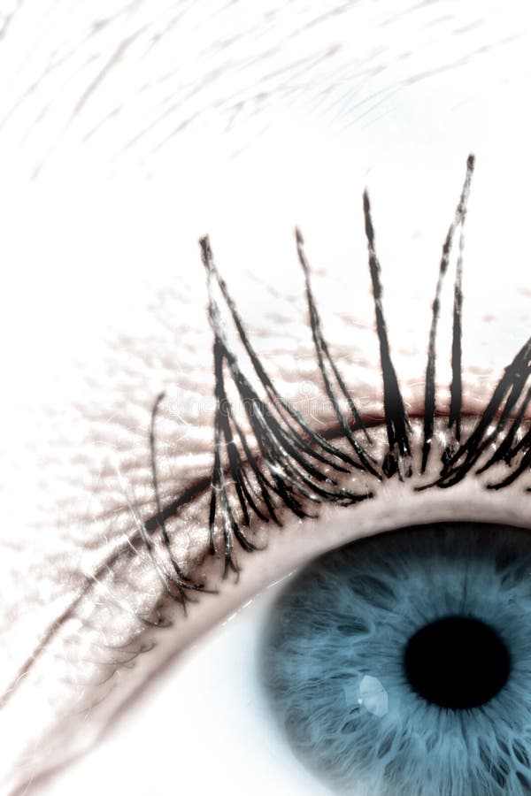 Oeil #4 images libres de droits