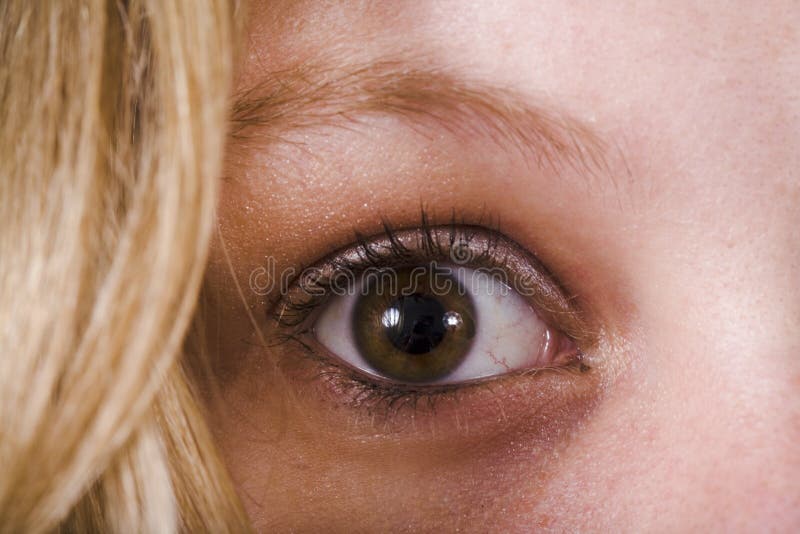 Oeil photographie stock Oeil photographie stock