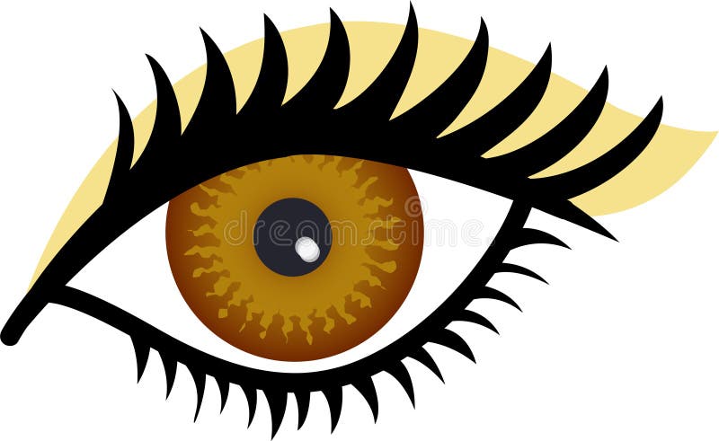 Oeil de Brown illustration libre de droits Oeil de Brown illustration libre de droits