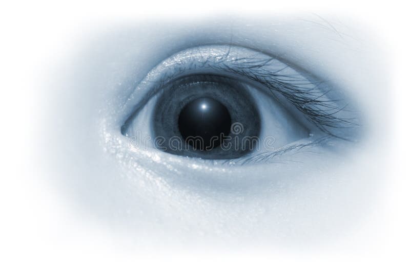 Oeil de chéri photographie stock libre de droits Oeil de chéri photographie stock libre de droits