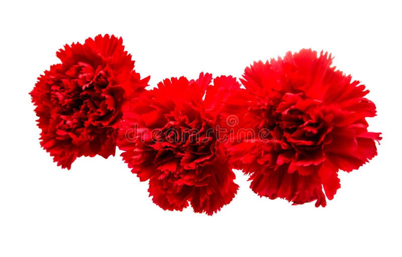 Œillets Métal Rouges 3/16" - Lot Pour Scrapbooking, Cartes, Estampage, Fabrication