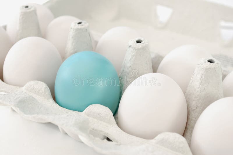 Oeuf bleu image stock Oeuf bleu image stock