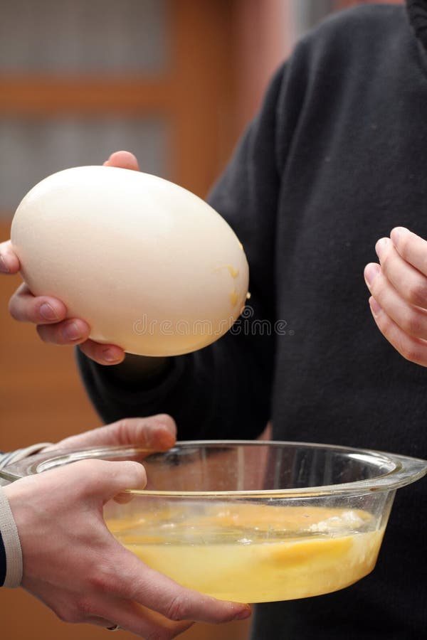 Oeuf D