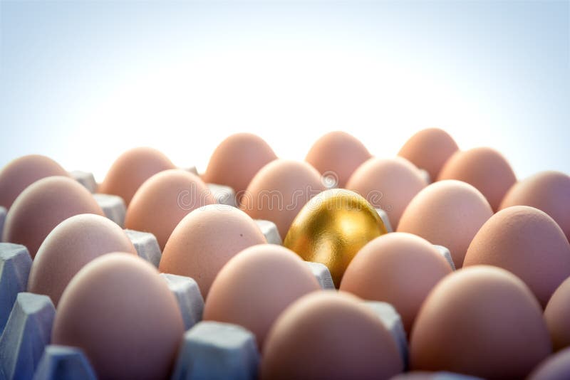 Oeuf d'or parmi des oeufs de poule photos libres de droits Oeuf d'or parmi des oeufs de poule photos libres de droits