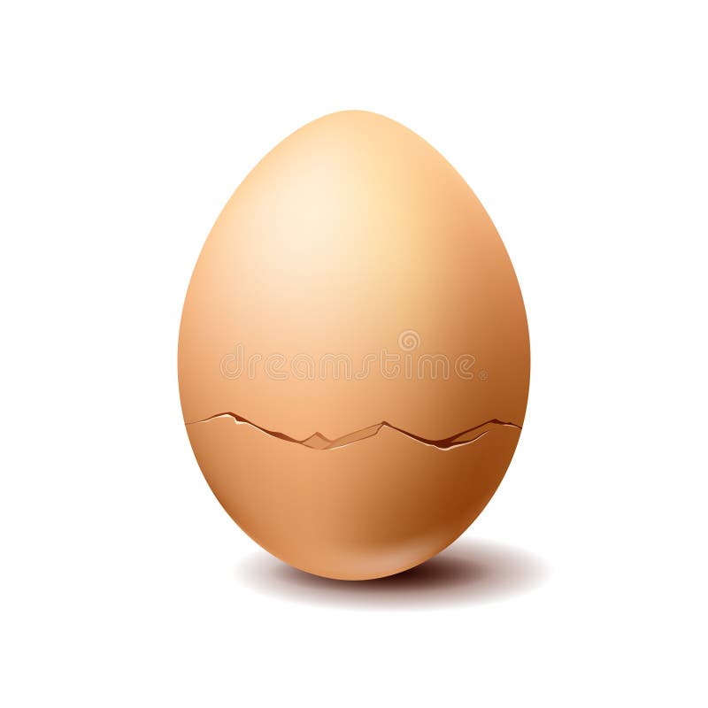 Oeuf de poulet de Brown avec la fente sur le fond blanc illustration de vecteur Oeuf de poulet de Brown avec la fente sur le fond blanc illustration de vecteur