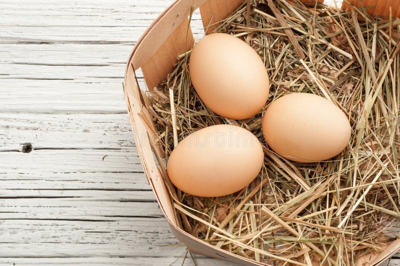 Oeuf de poulet dans un nid de paille sur le vieux fond en bois blanc photographie stock libre de droits Oeuf de poulet dans un nid de paille sur le vieux fond en bois blanc photographie stock libre de droits
