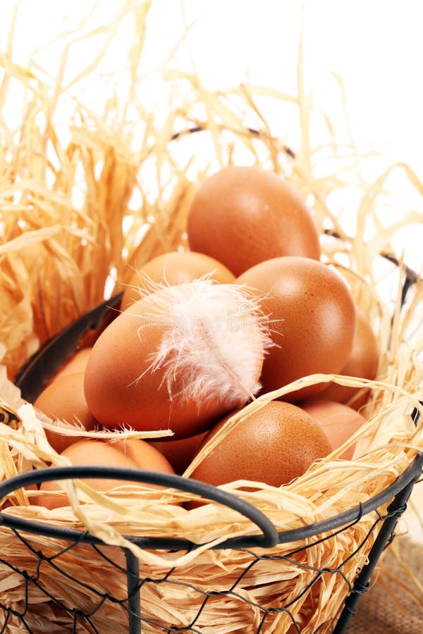 Oeuf Oeufs frais de ferme dans le panier Oeuf de pâques avec le concept de plume photos libres de droits Oeuf Oeufs frais de ferme dans le panier Oeuf de pâques avec le concept de plume photos libres de droits