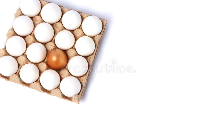 Oeufs blancs dans un carton images libres de droits Oeufs blancs dans un carton images libres de droits